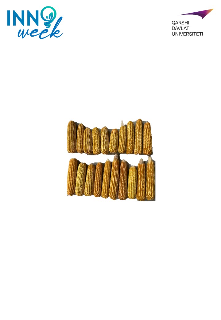 QarDU-1000